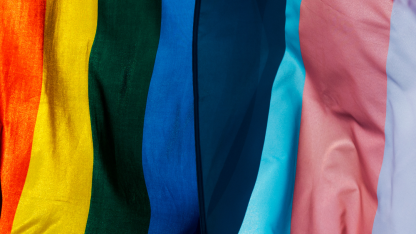 Ein Bild der Pride und Trans-Flagge